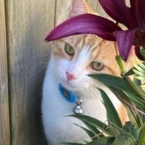 Meet your Posher, Cindy